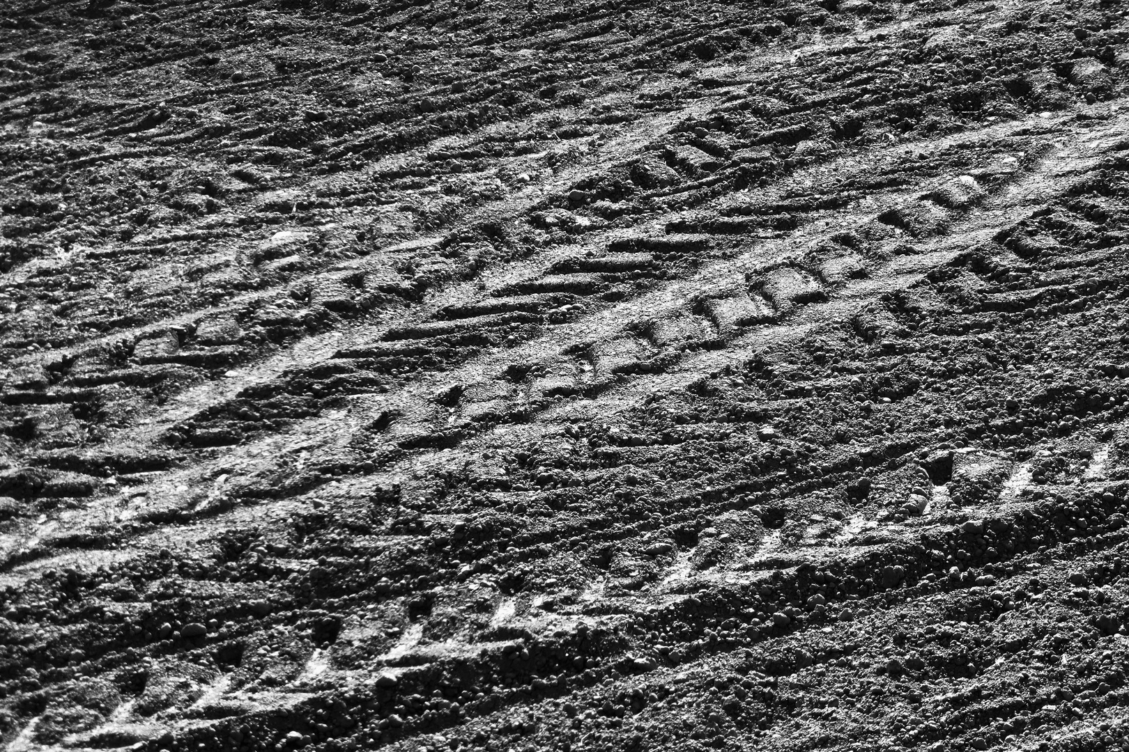 ..campi incisi....dal lavoro dell'uomo...3