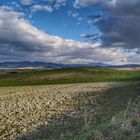 Campi Toscana gennaio 