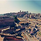 CAMPIDOGLIO DAL PALATINO 40°C