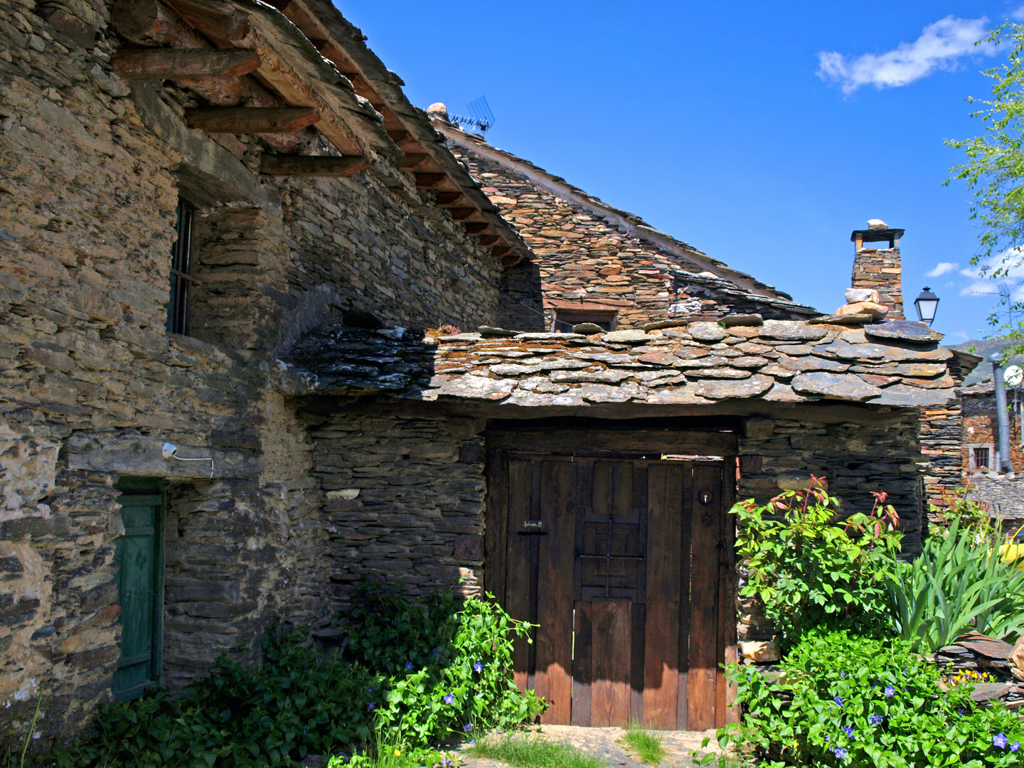 Campillo de ranas