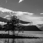 Camping am Fjord