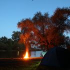 Camping an der Argenmündung