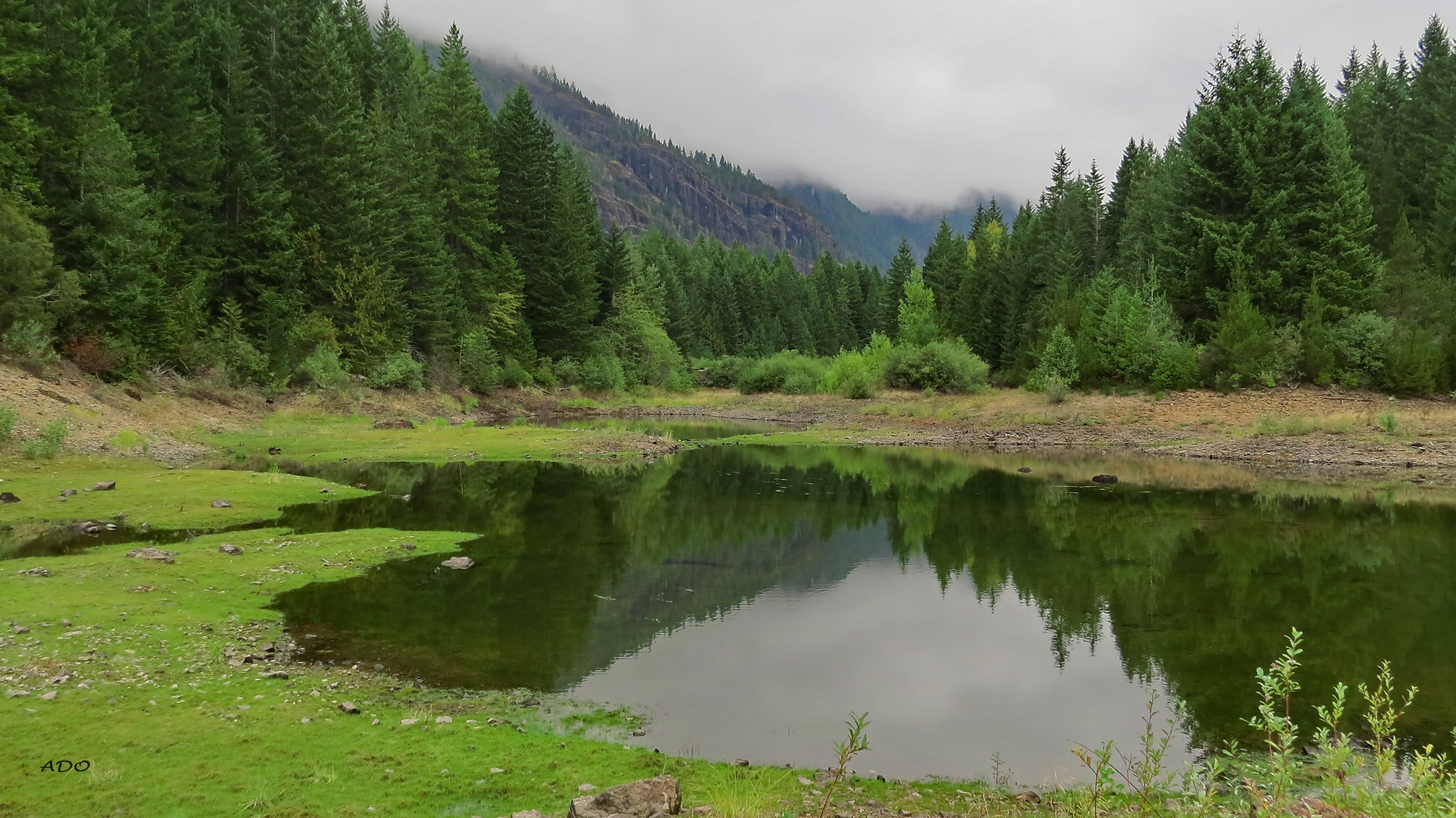 Camping at Buttle Lake