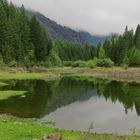 Camping at Buttle Lake