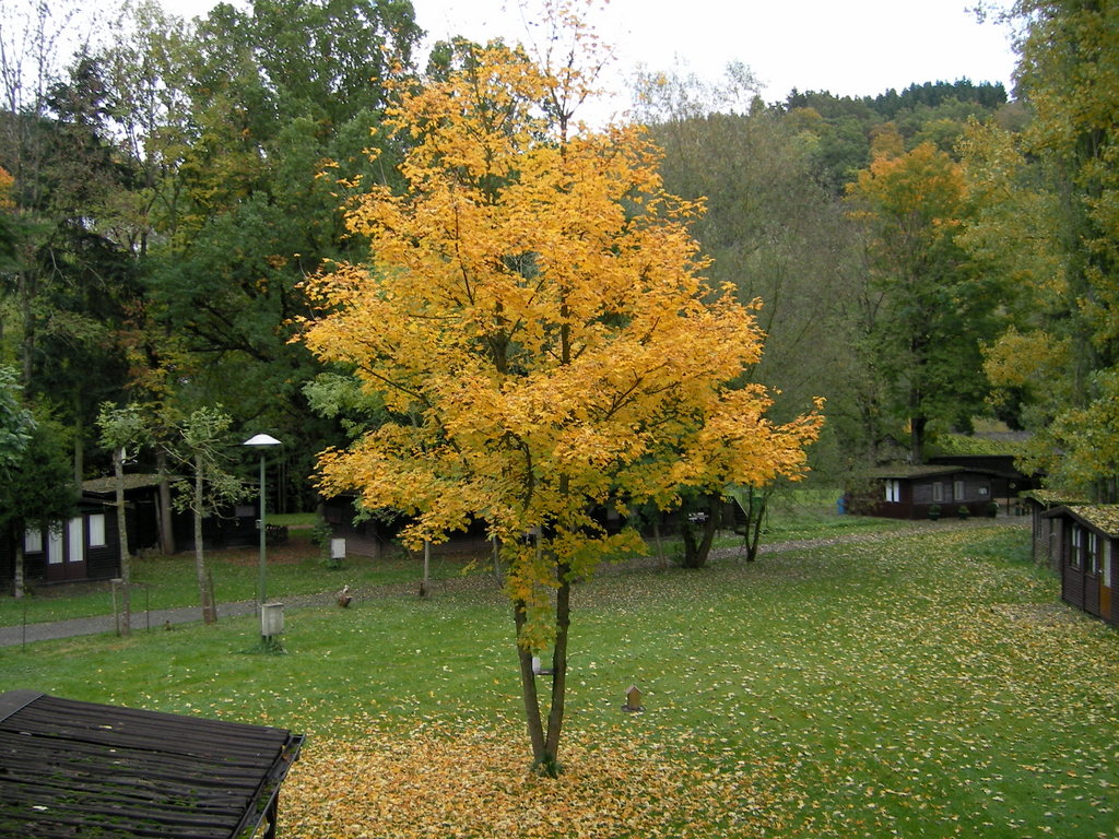 campingplatz im herbst