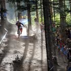 Campionato del Mondo Downhill 2016