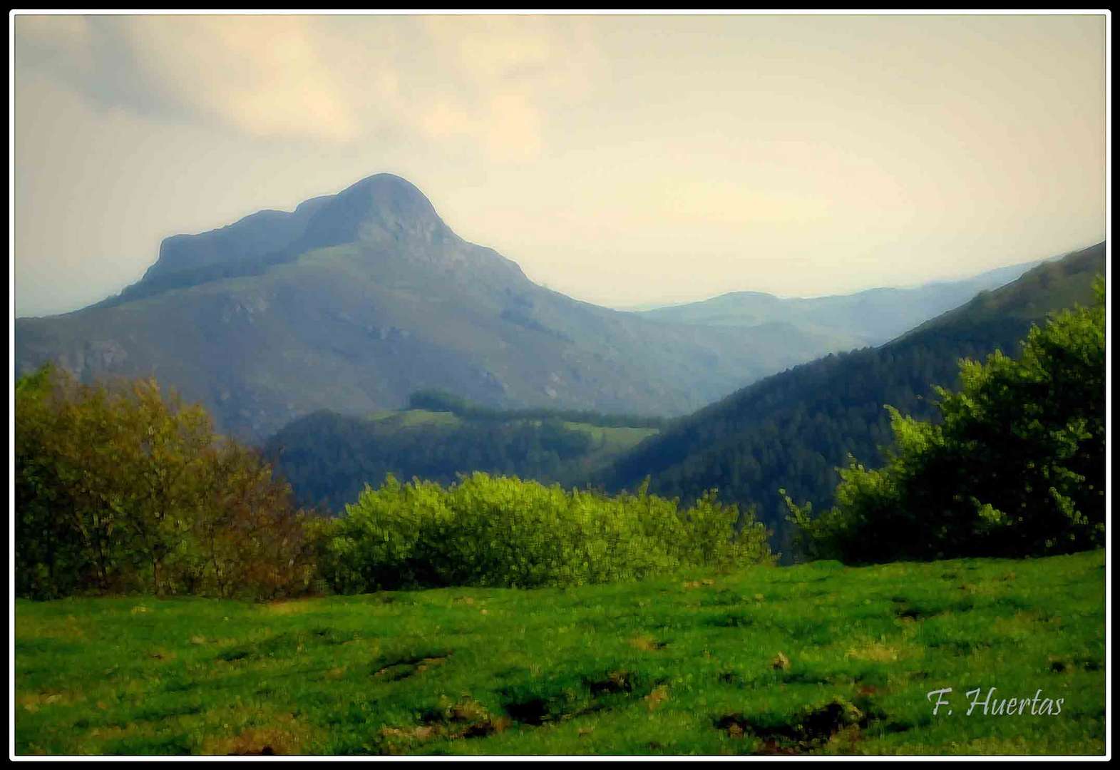 Campo abierto