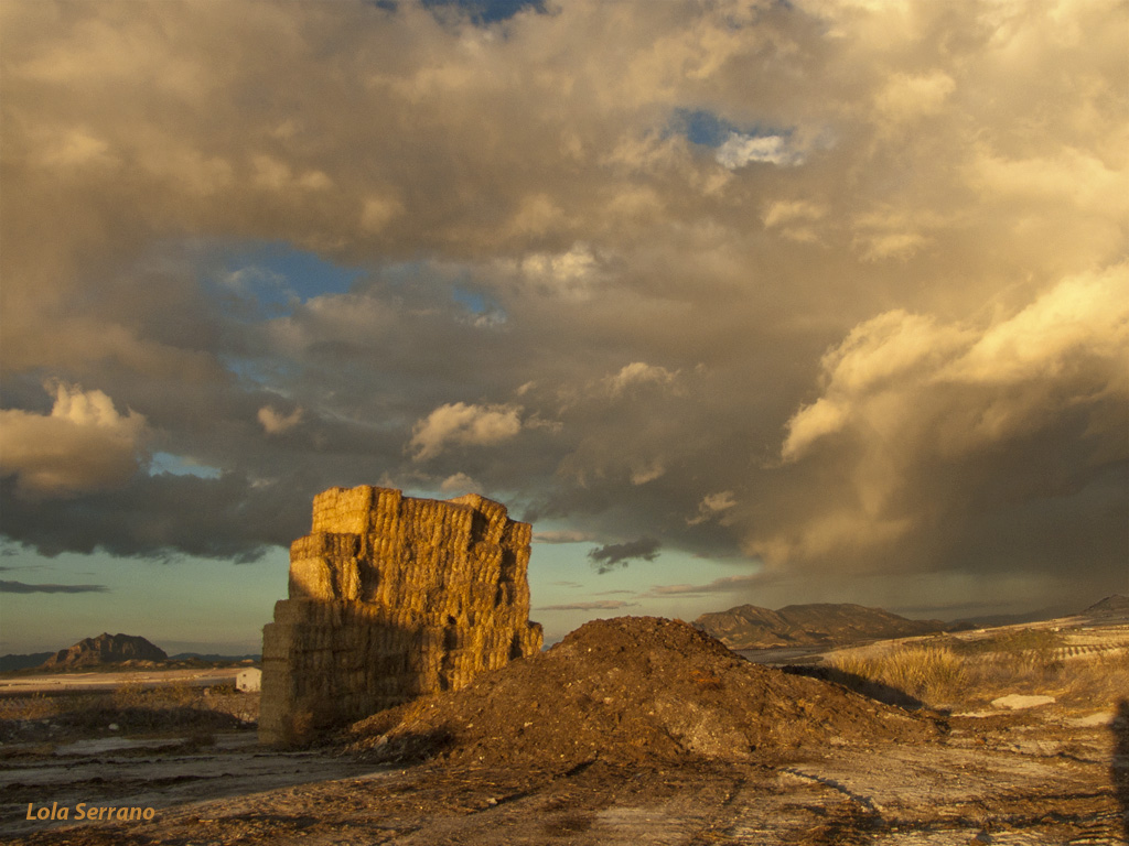 Campo al atardecer