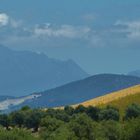 Campo andaluz