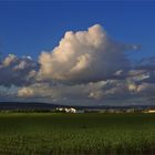 CAMPO ANDALUZ