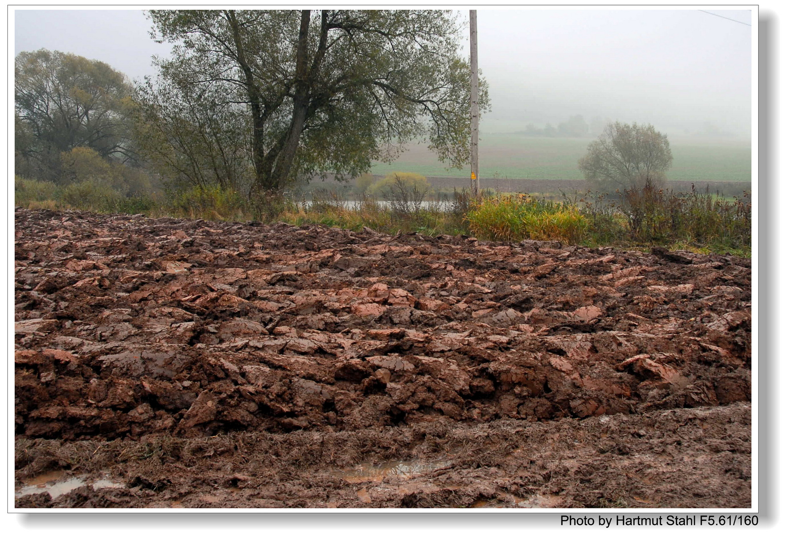 Campo arado (gepflügtes Feld)