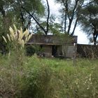 Campo argentino