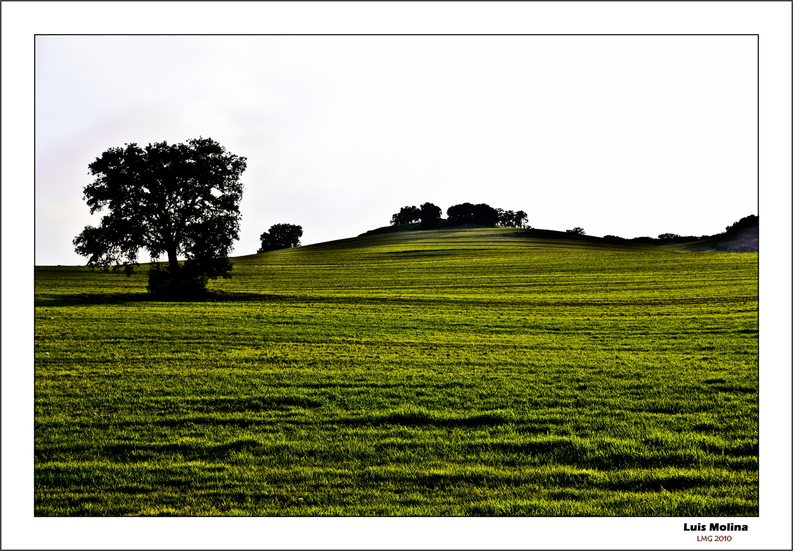 Campo arriba