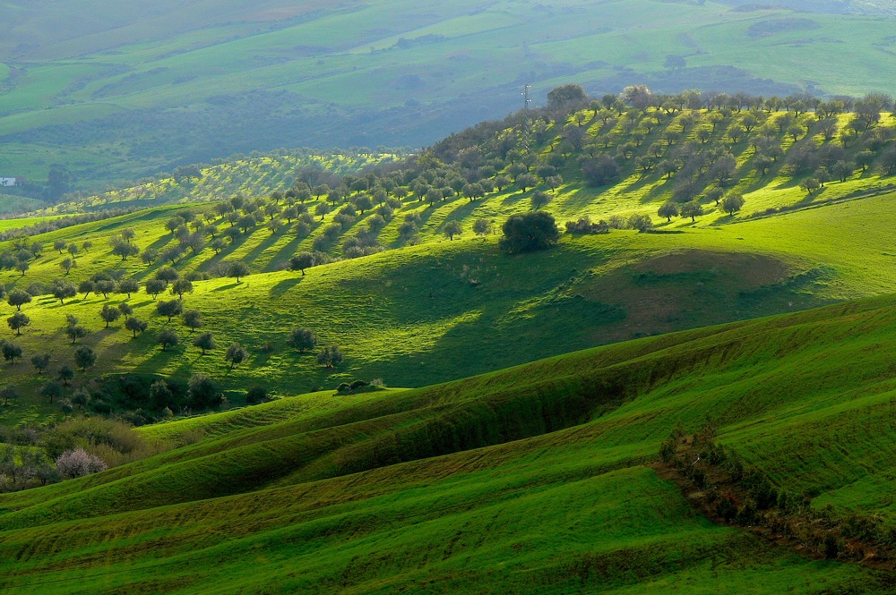 Campo através