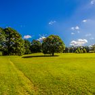 CAMPO, CIELO Y SOL