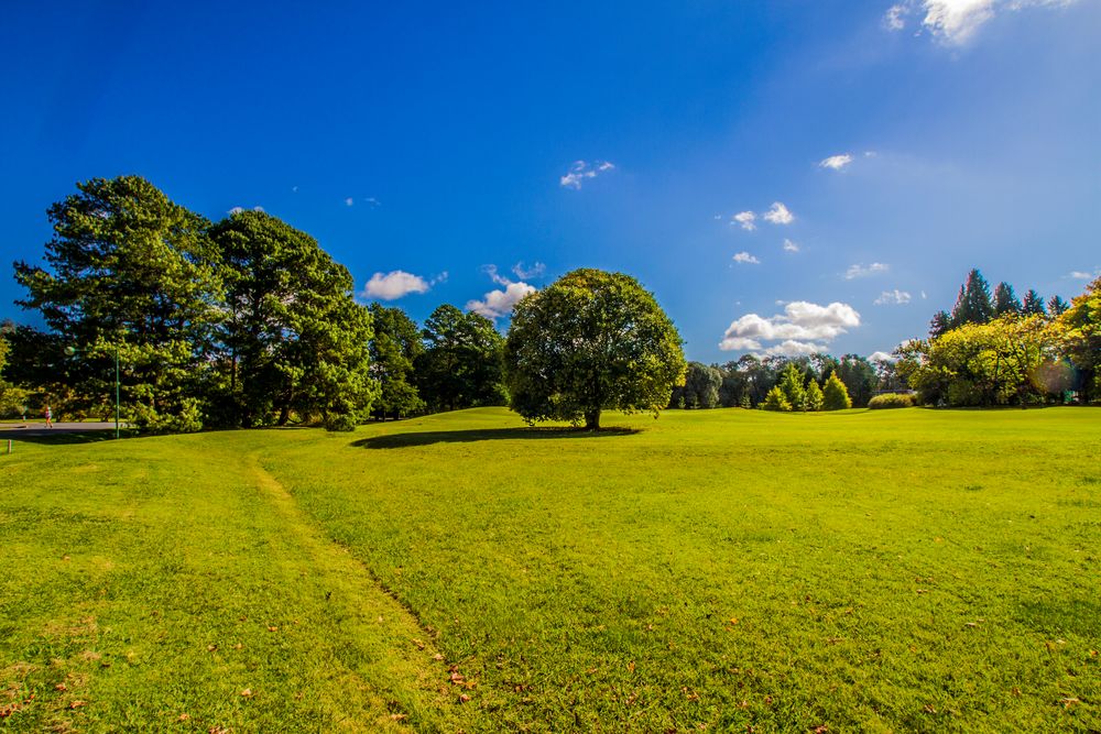 CAMPO, CIELO Y SOL