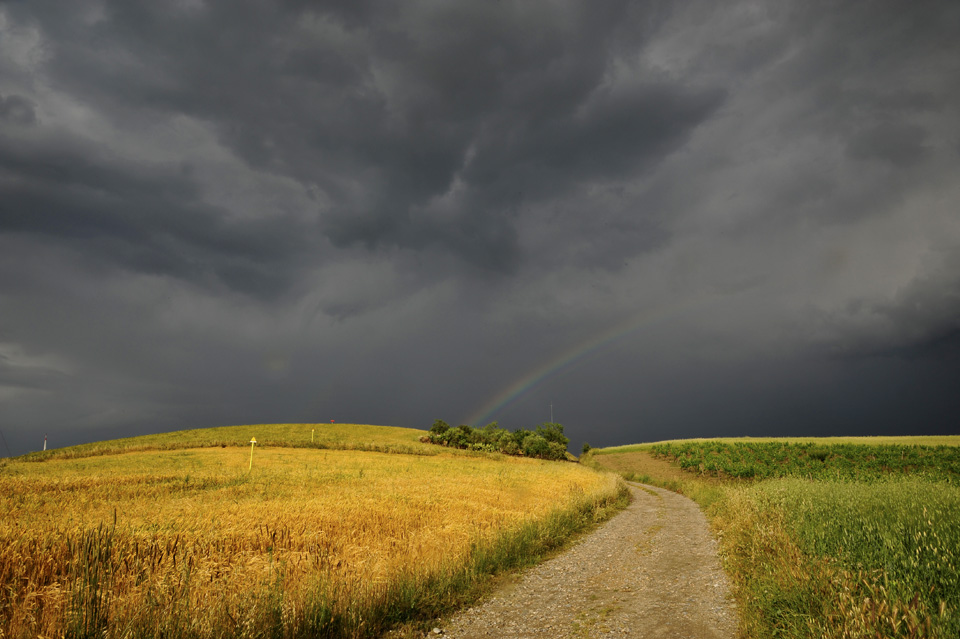 campo con arcobaleno 2