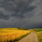 campo con arcobaleno 2