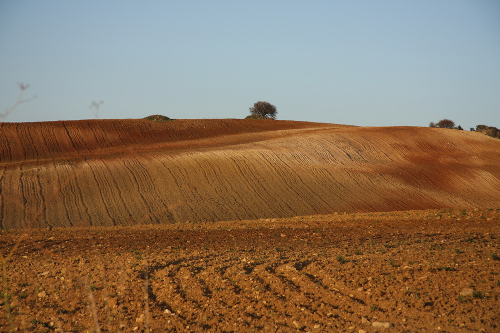 campo d'autunno