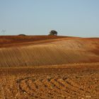 campo d'autunno