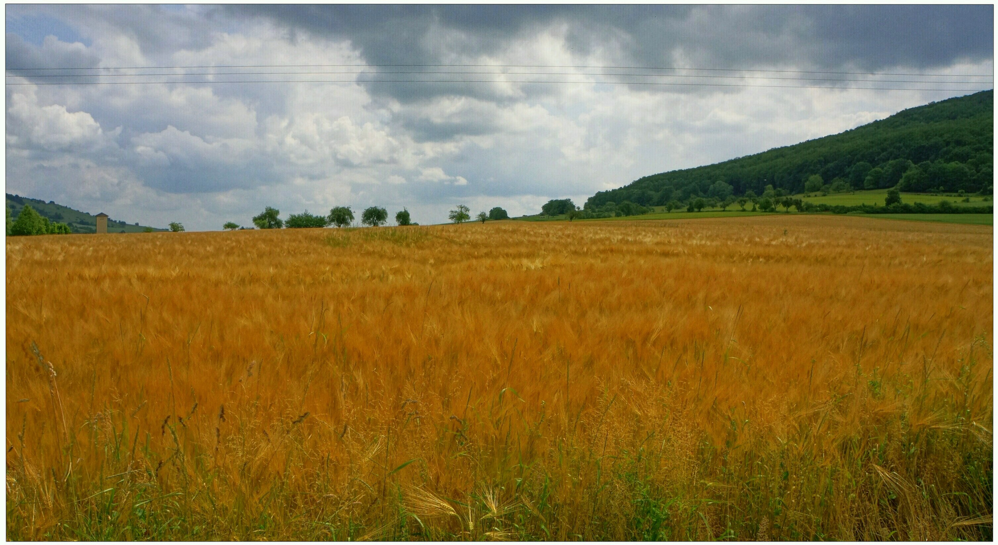 Campo de cereales X (Getreidefeld X)