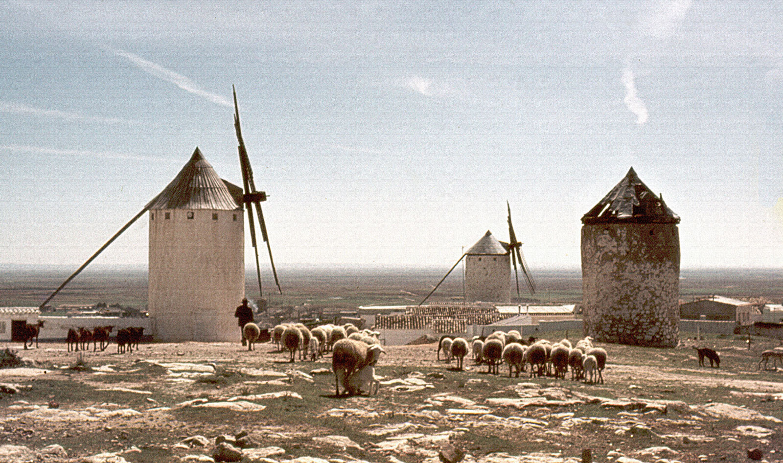 Campo de Criptana 1978.