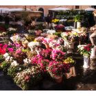 Campo de Fiori im Januar