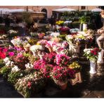 Campo de Fiori im Januar