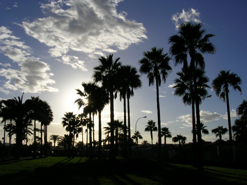 Campo de Golf