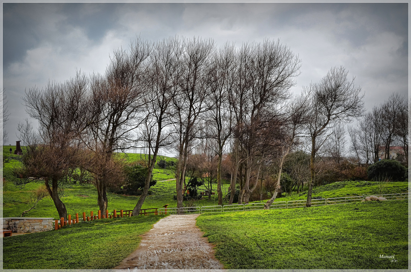 Campo de la Torre