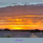 Campo de lavanda