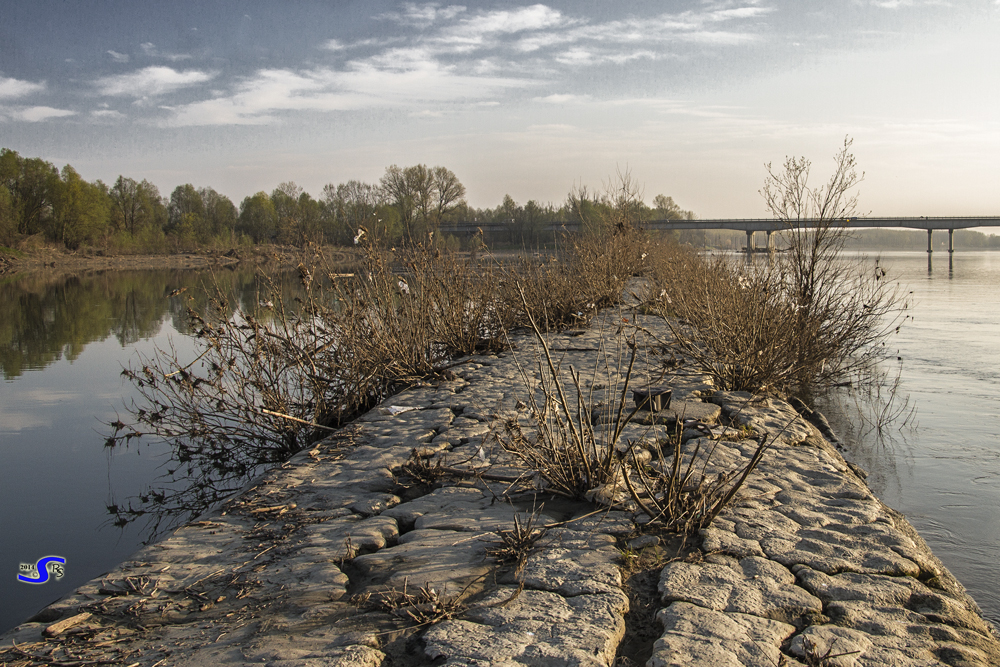 Campo dei Fiocchi del fiume Po