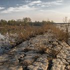 Campo dei Fiocchi del fiume Po