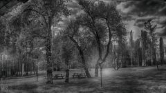 Campo  del hotel  Malargüe