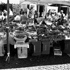 Campo di Fiori