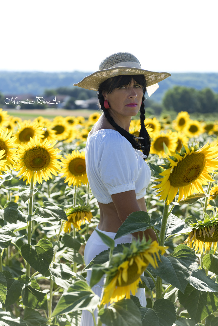 Campo di Girasoli zona La Morra (Cn)