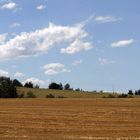 campo di grano