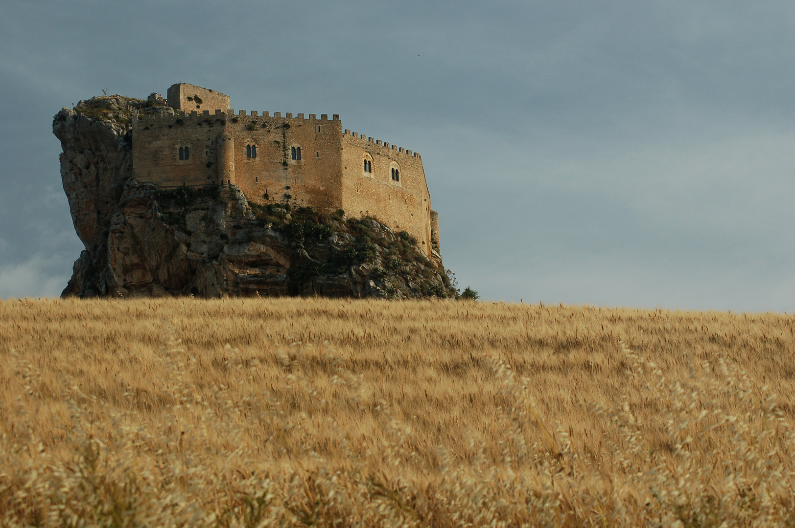 Campo di grano con castello