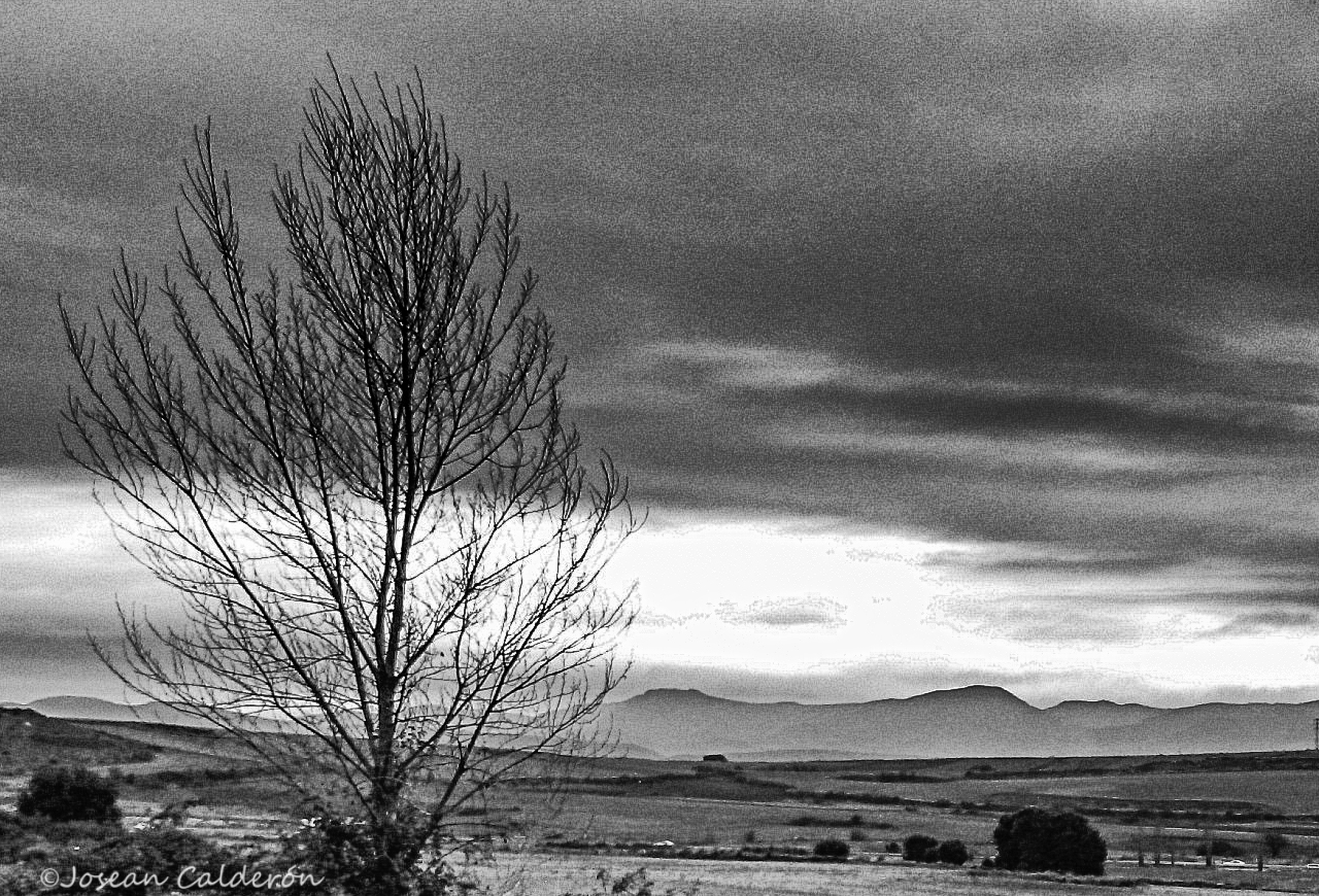 Campo en invierno