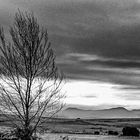 Campo en invierno