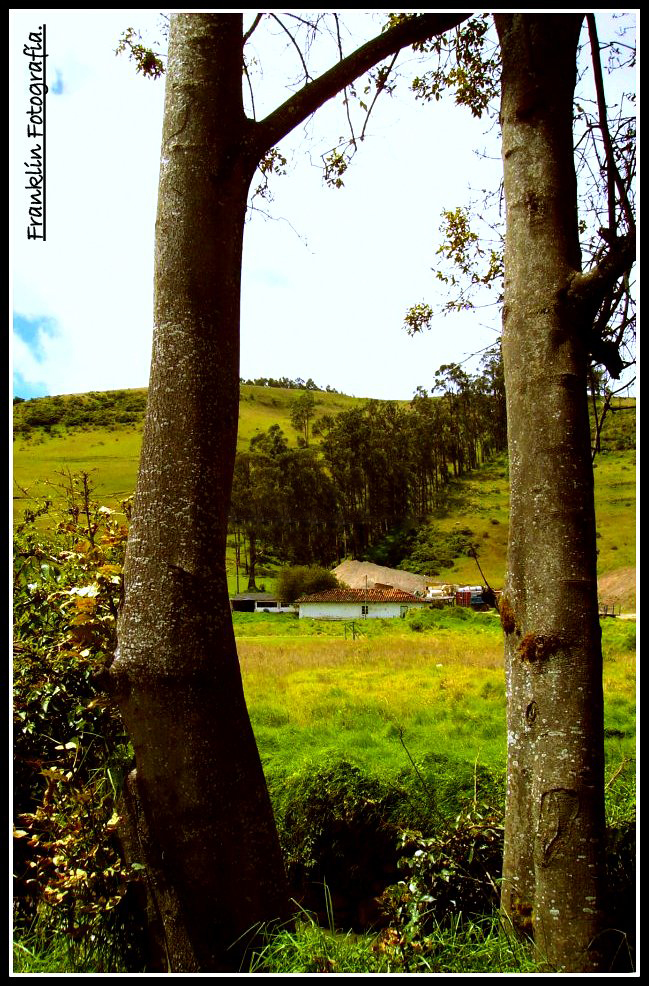 Campo en San Juan de Pasto.