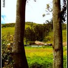 Campo en San Juan de Pasto.