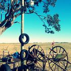 campo gaucho