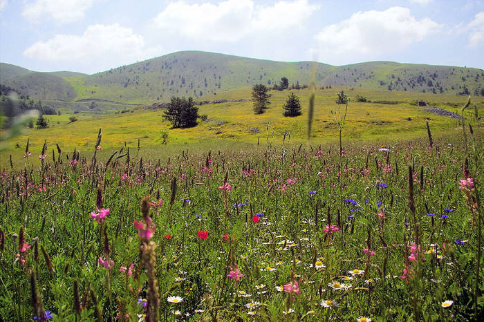 Campo Imperatore 1 Italien Abruzzen (Gran Sasso Nationalpark)