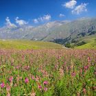 Campo Imperatore 2 Italien Abruzzen (Gran Sasso Nationalpark