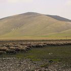 Campo Imperatore 4 Italien Abruzzen (Gran Sasso Nationlpark)