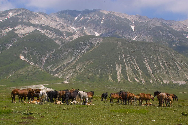 Campo Imperatore 5 Italien Abruzzen (Gran Sasso Nationalpark)