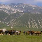 Campo Imperatore 5 Italien Abruzzen (Gran Sasso Nationalpark)