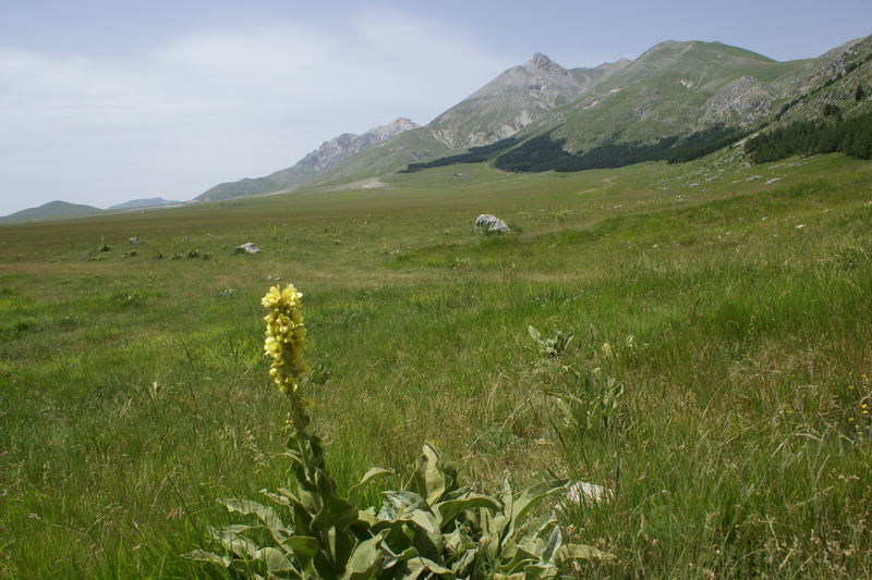 Campo Imperatore