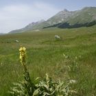 Campo Imperatore